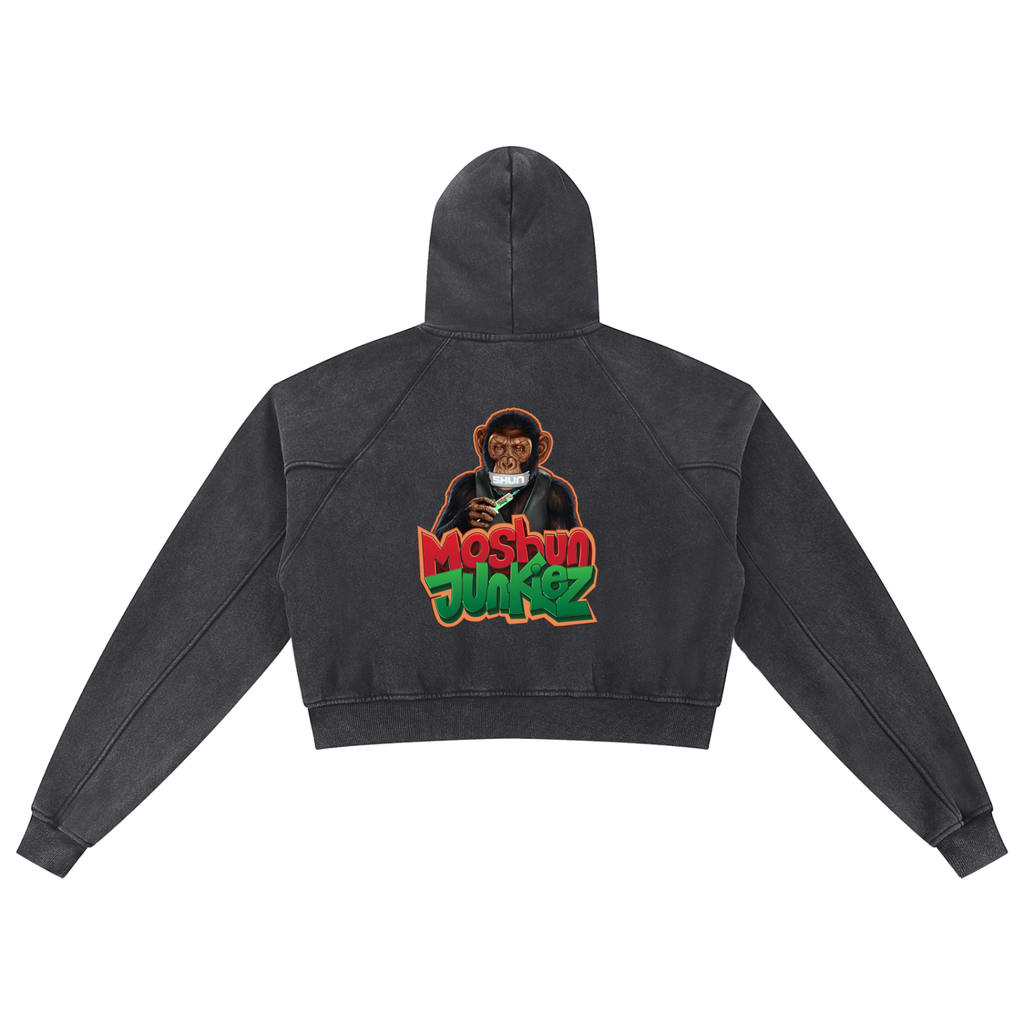 Snow Washed Cropped Hoodie