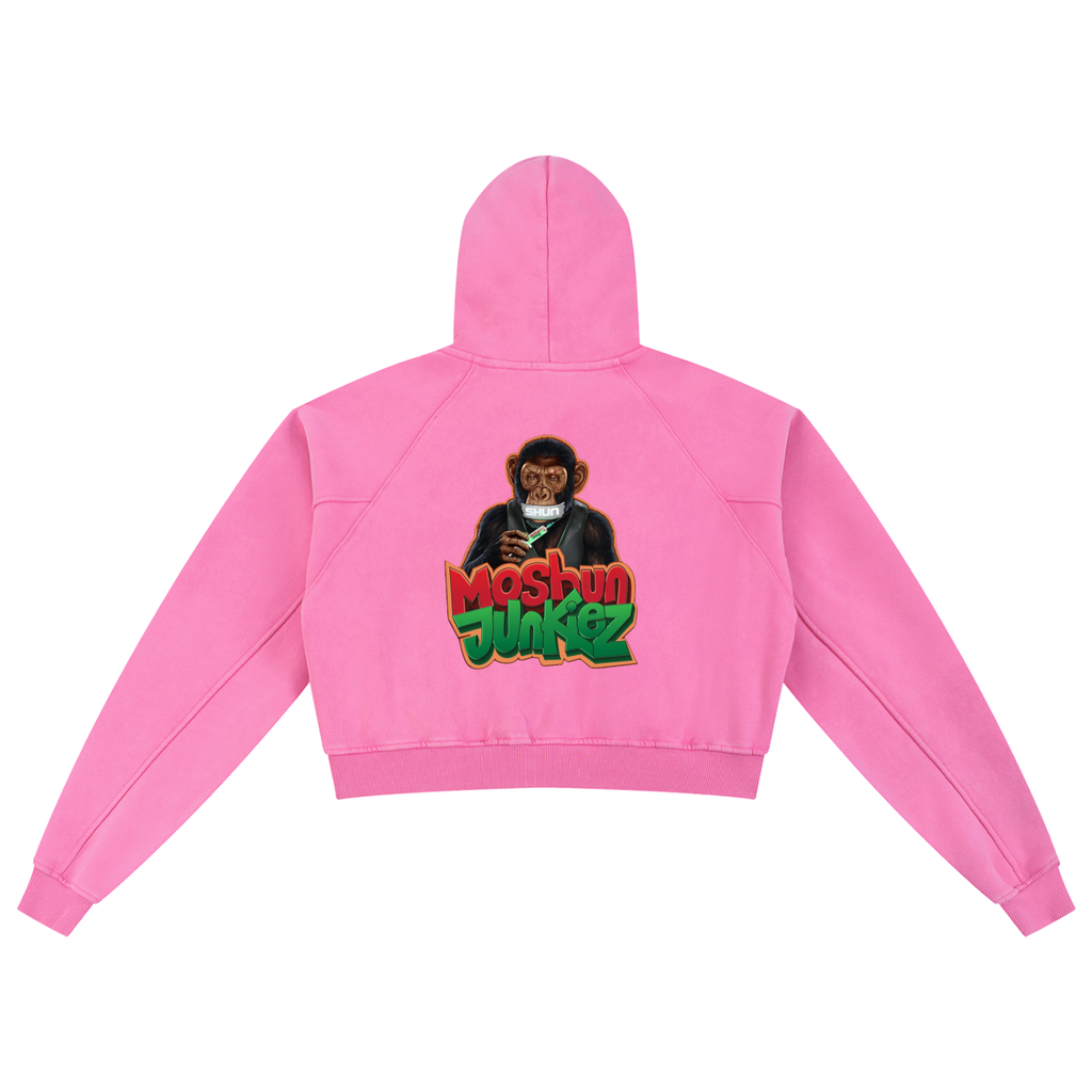 Snow Washed Cropped Hoodie